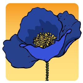 bluepoppy.com