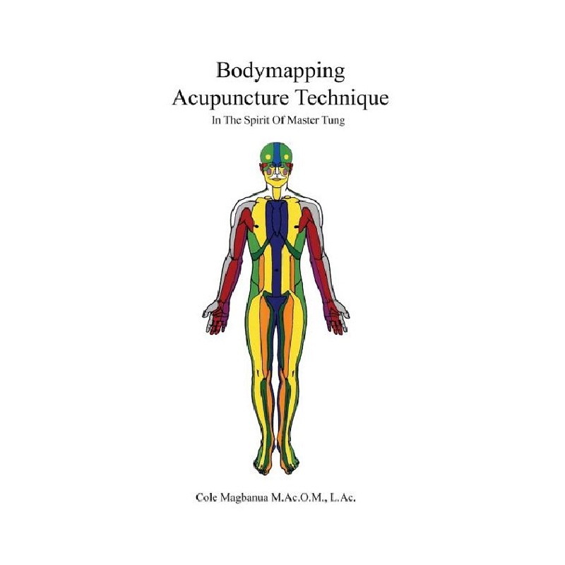 Bodymapping Acupuncture Technique: In Spirit Of Master Tung