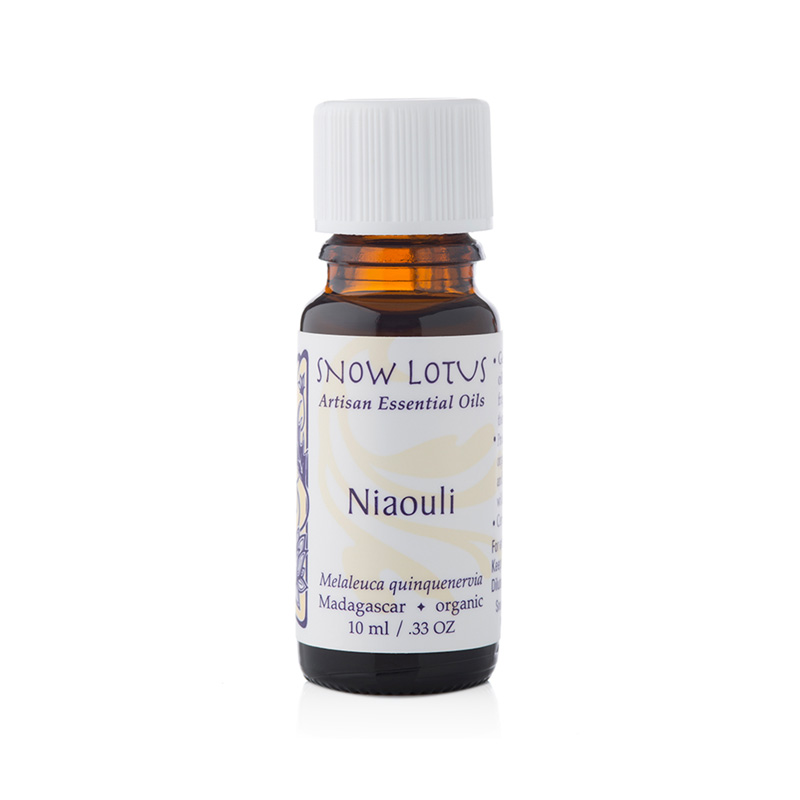 Niaouli