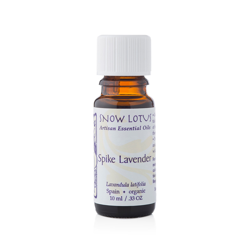 Spike Lavender