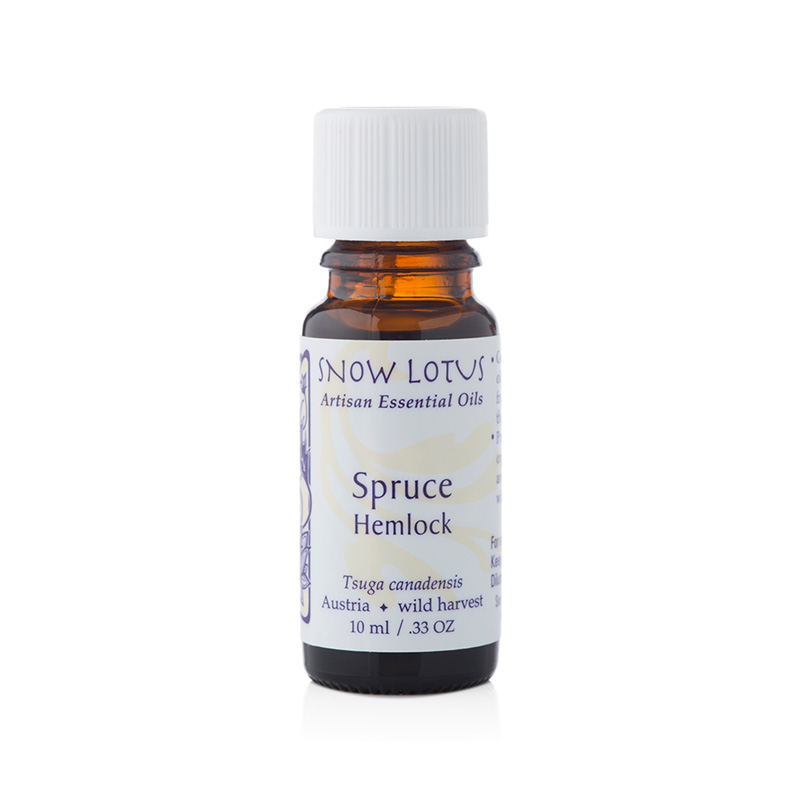 Spruce, Hemlock