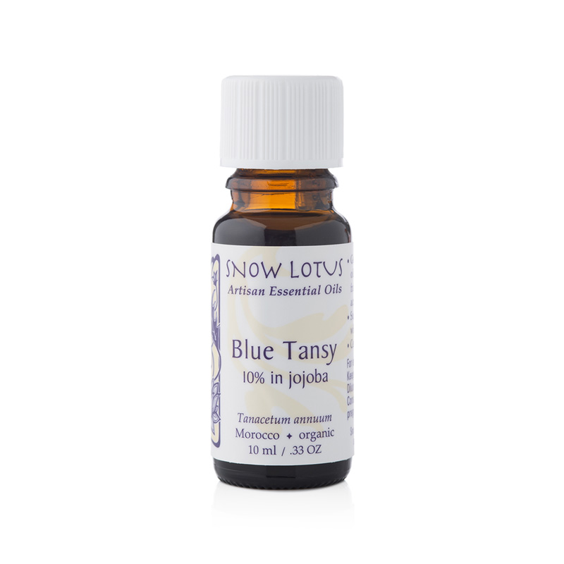 Blue Tansy