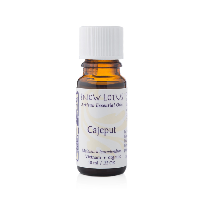 Cajeput