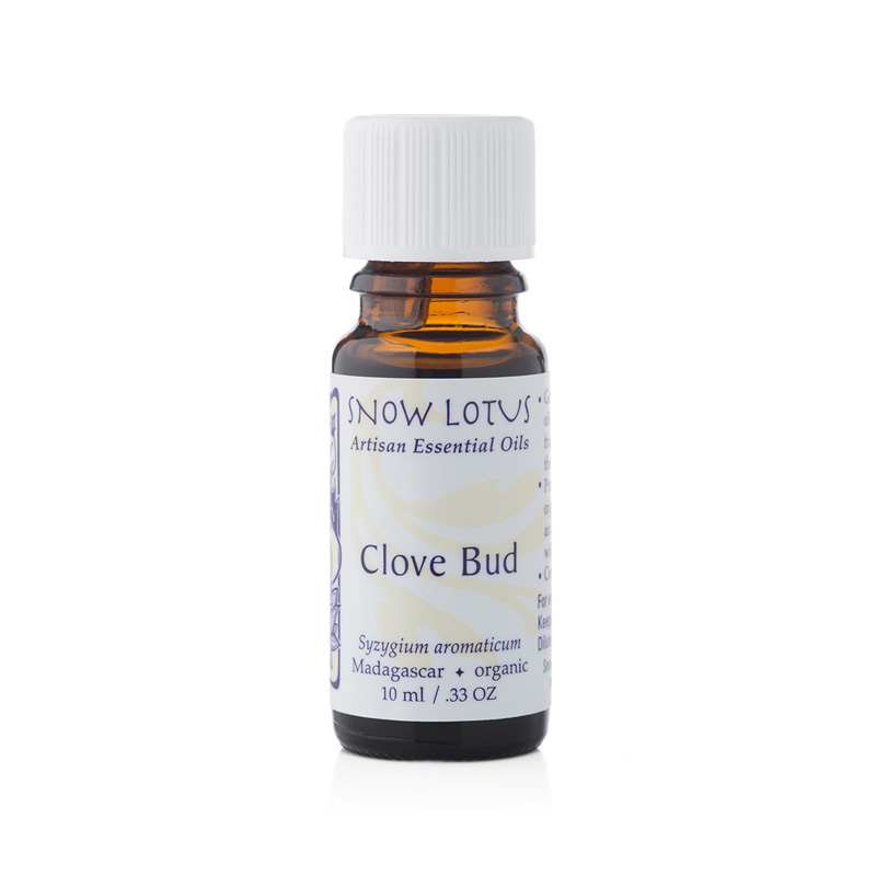 Clove Bud