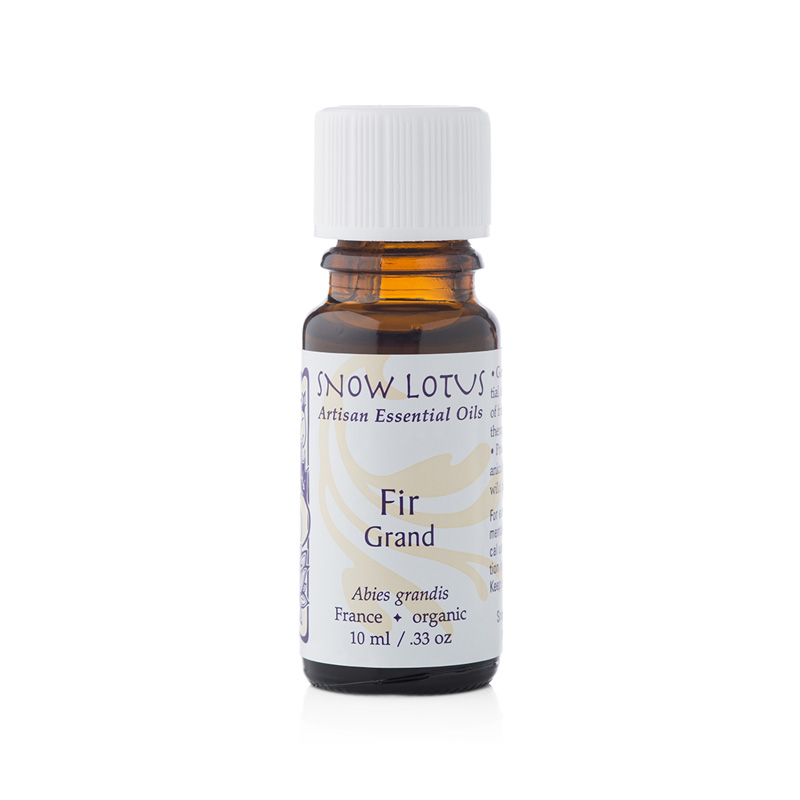 Fir, Grand