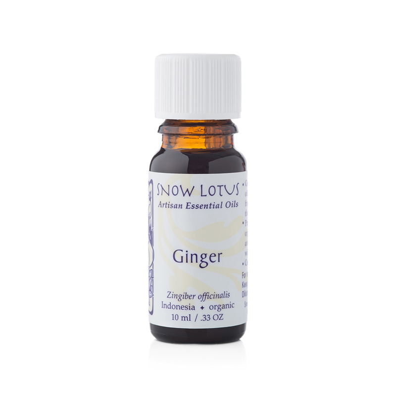 Ginger