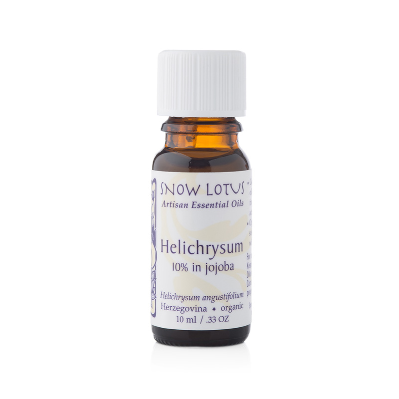Helichrysum