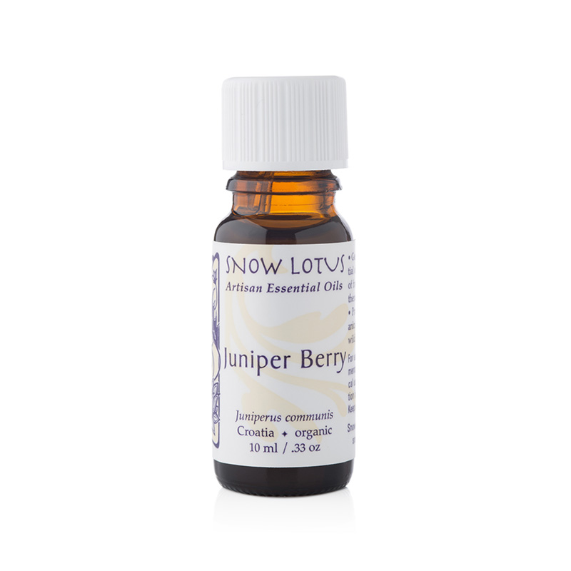 Juniper Berry