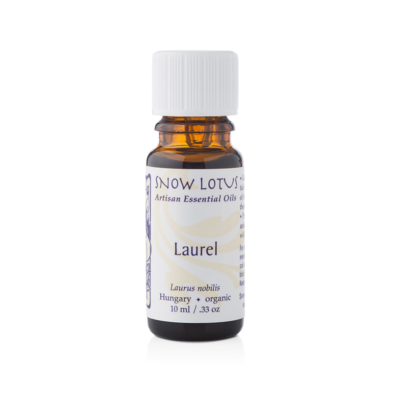 Laurel, bay