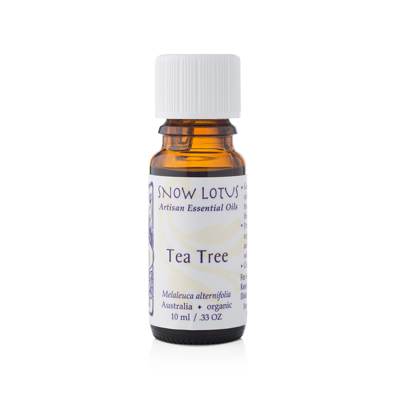 Tea Tree